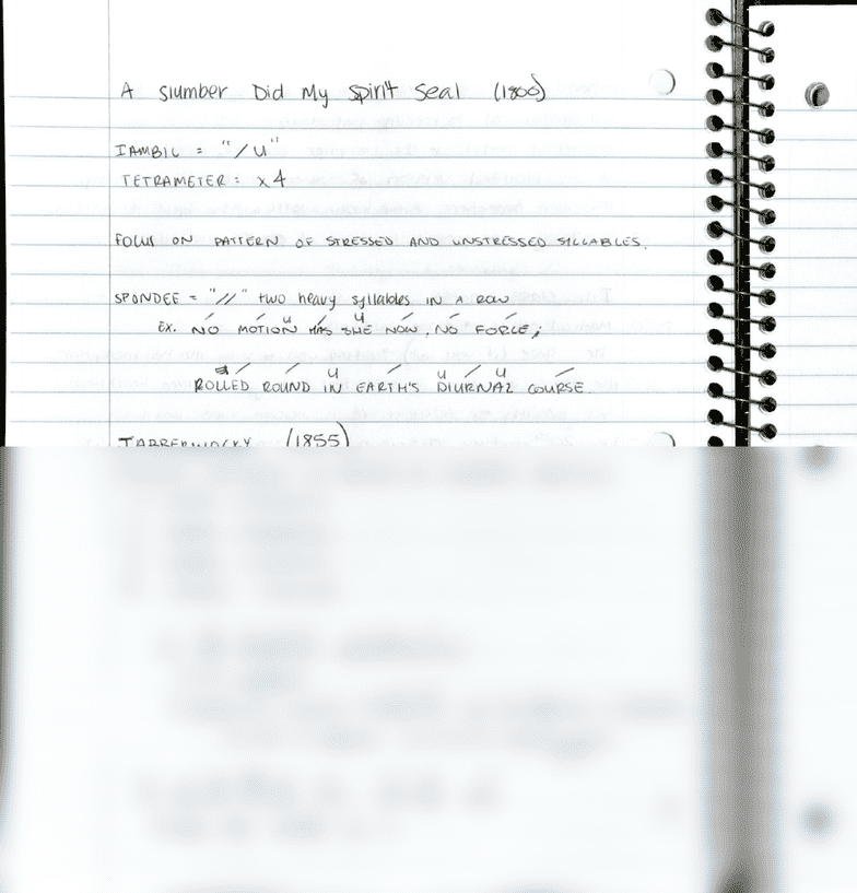 Grade 9 english homework help Grade 9 english homework help