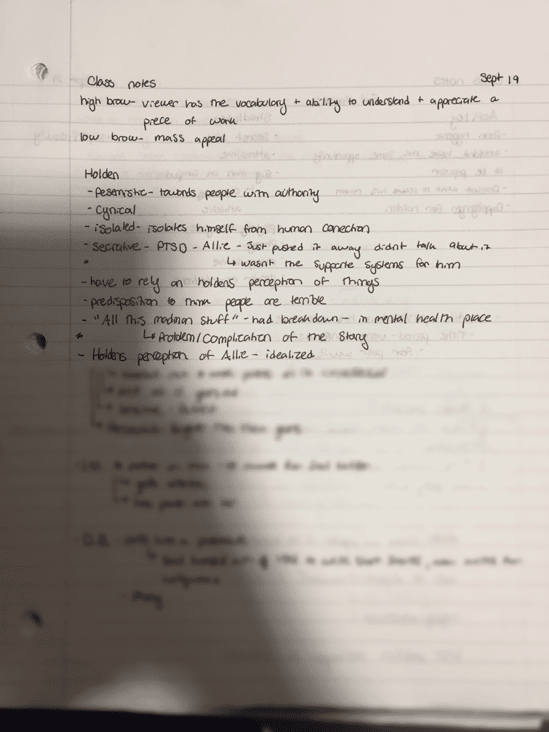 Brown essay help picture