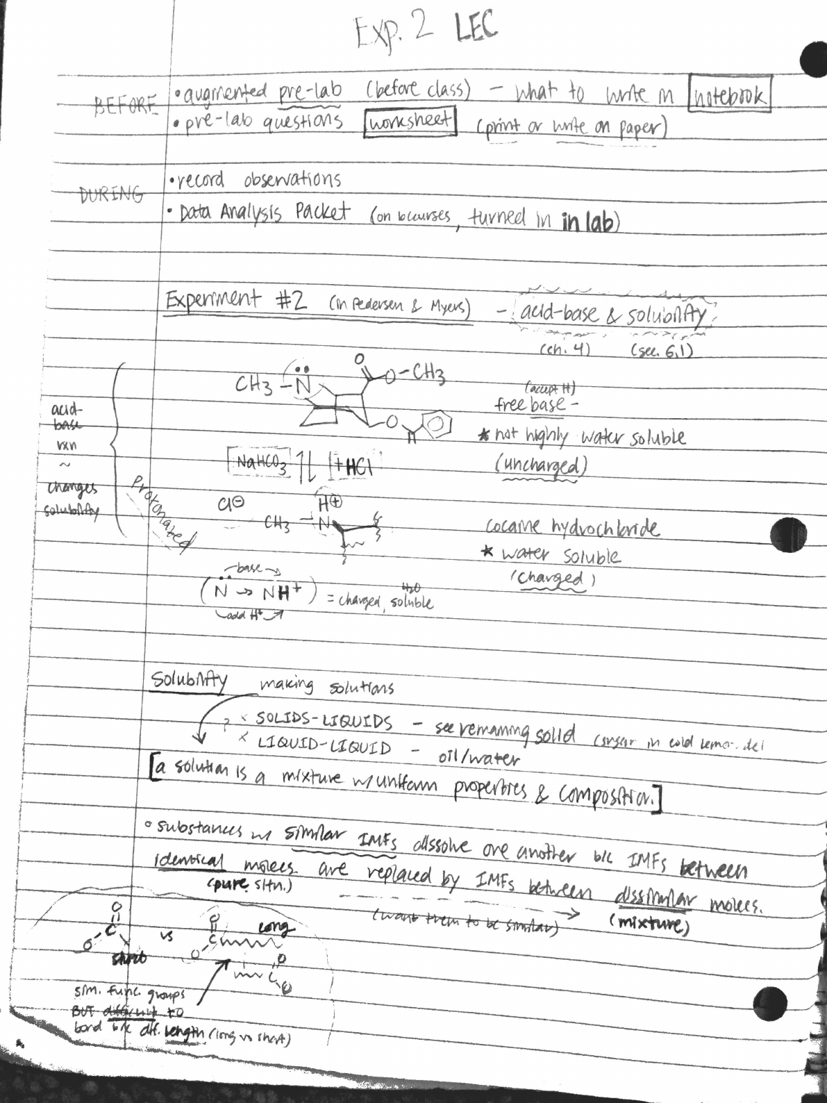 Homework help grade 5 Homework help grade 5