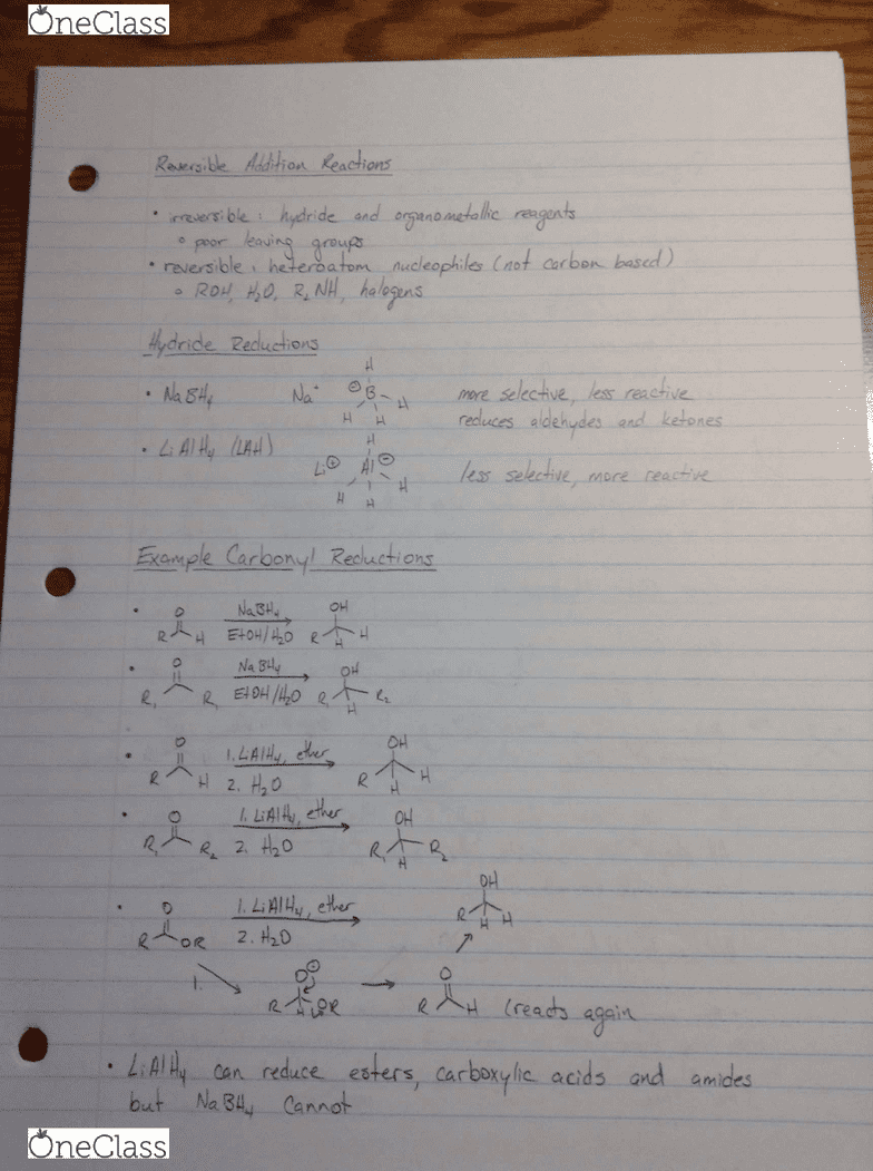 Homework help for grade 5 Homework help for grade 5