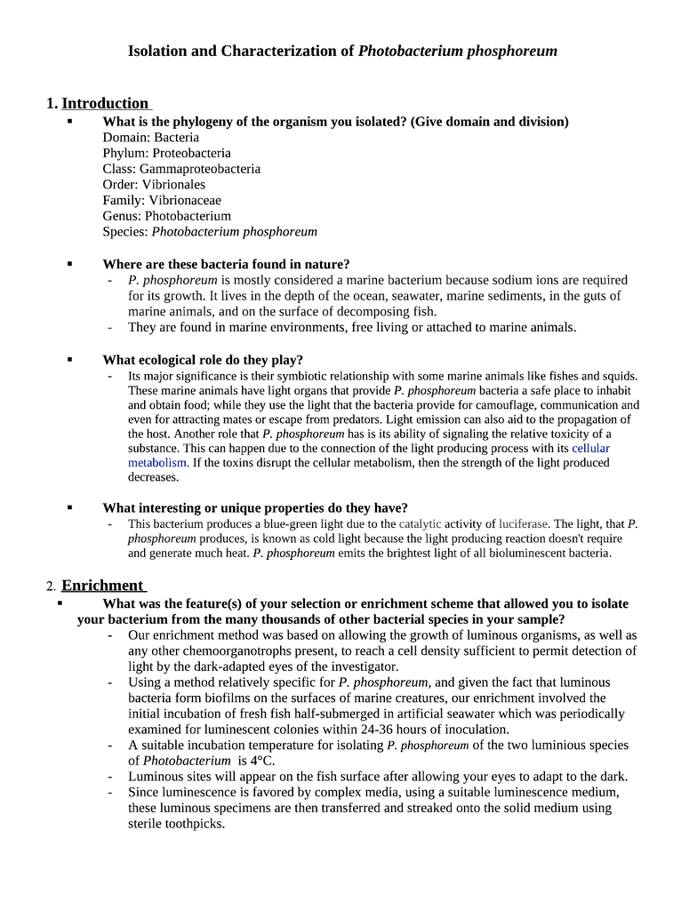 Full Isolation report (full and concise notes) OneClass