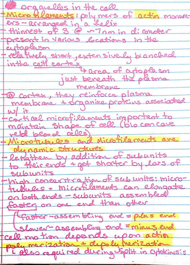 BIO 1801 Chapter 10.2, 11.1, 11.2: Chapter 10.2 The Cytoskeleton