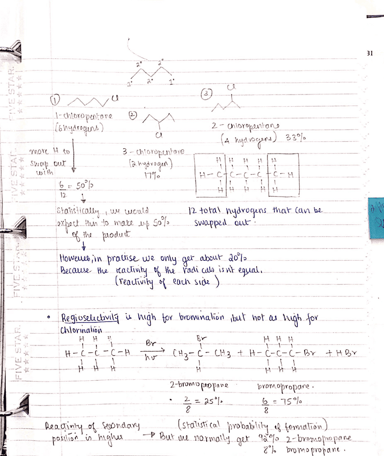 Nashua live homework help image