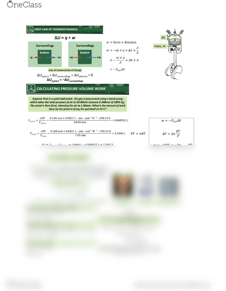 Homework help grade 8 Homework help grade 8