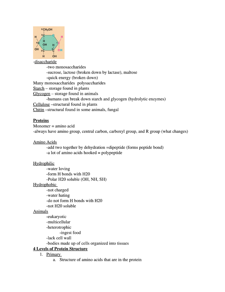 ZOOLOGY 101 Midterm Zoology 101Exam 1Study Guide OneClass