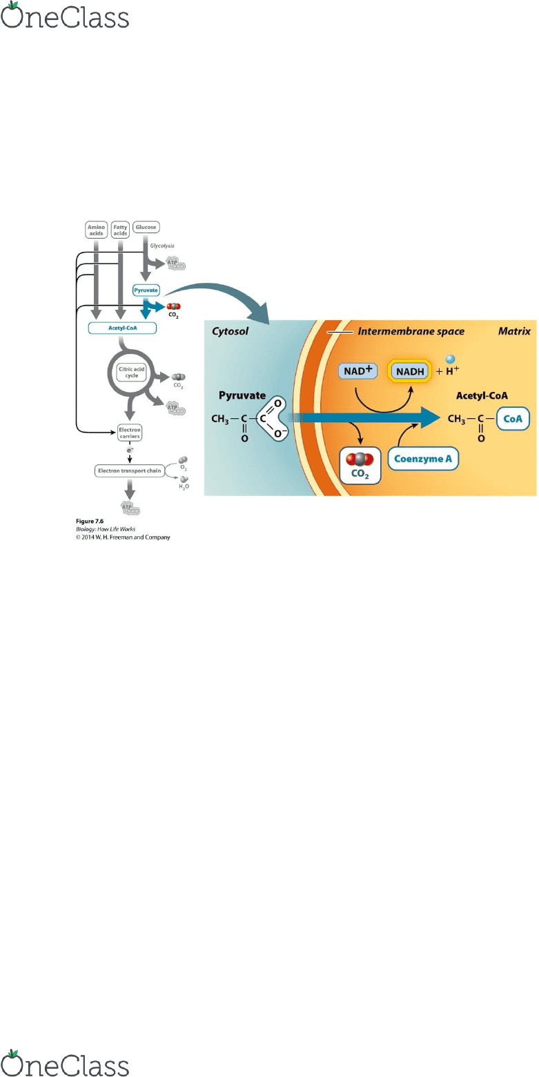Spa 3104 final essay question 02 image