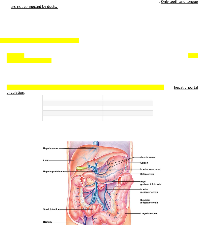 ANP 1107 Lecture 1: Digestive System Lecture notes Ch 23 - OneClass